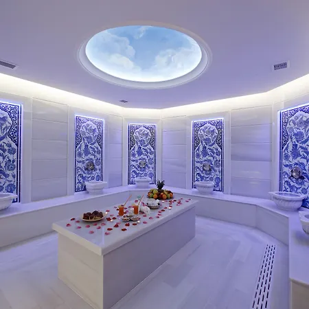 Gonluferah Thermal Otel 4*