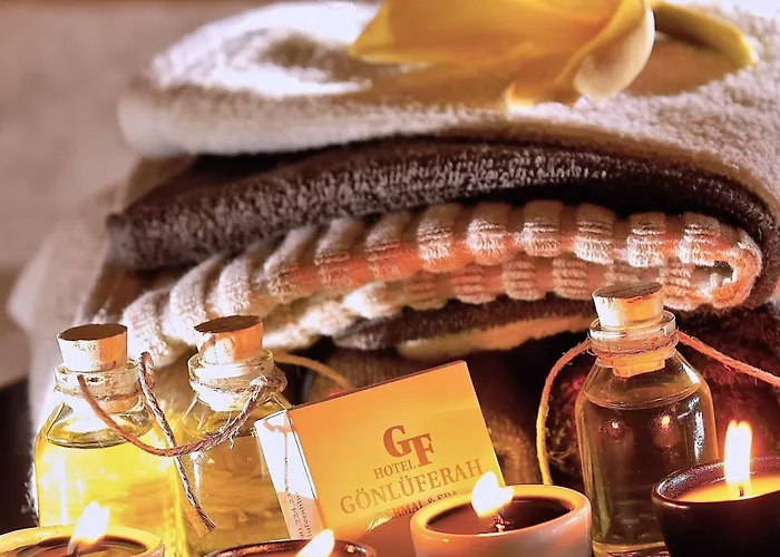 Hotel Gonluferah Thermal Bursa