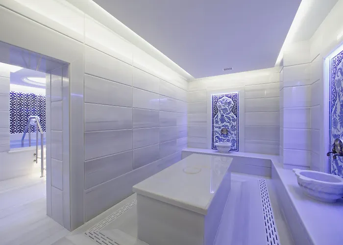 Hotel Gonluferah Thermal 4*