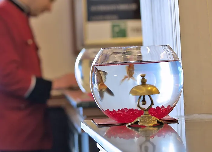 Gonluferah Thermal Hotel 4*