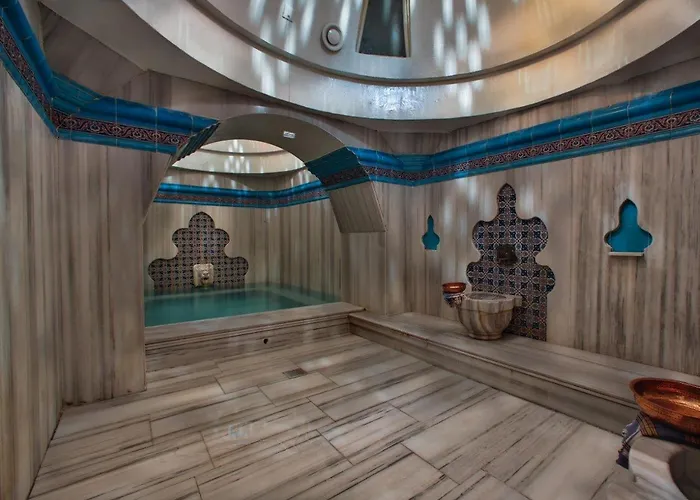 Hotel Gonluferah Thermal 4*